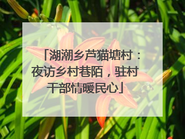 湖潮乡芦猫塘村：夜访乡村巷陌，驻村干部情暖民心
